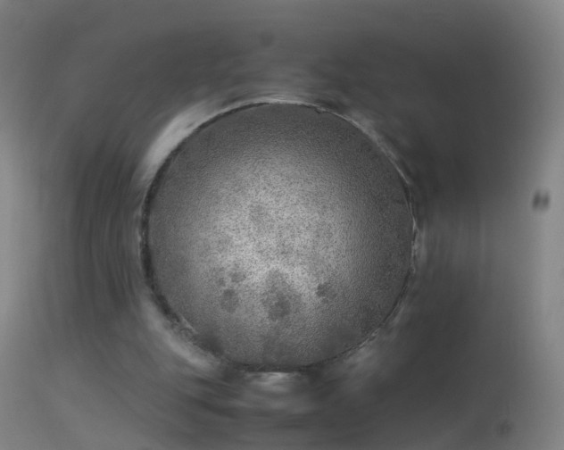 X0000114170151200910151645