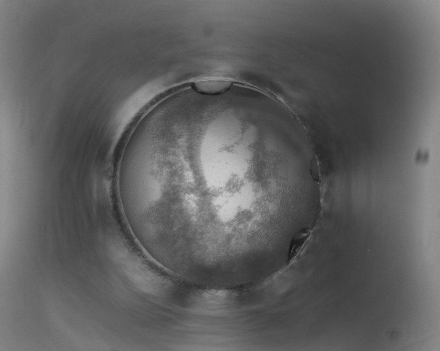 X0000114170152200910151645