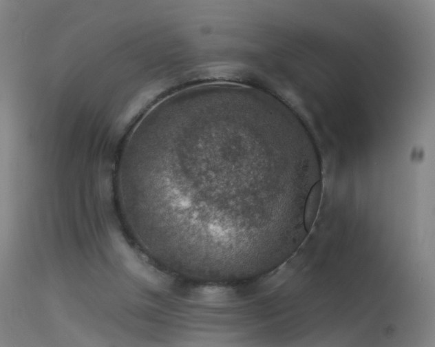 X0000114170154200910151645