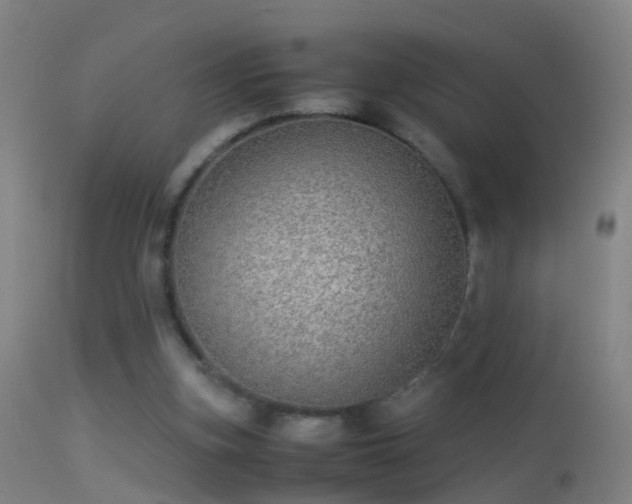 X0000114170155200910151645