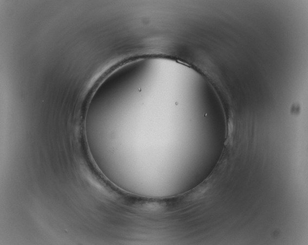 X0000114170156200910151645