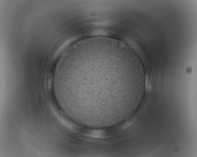 X0000114170157200910151645