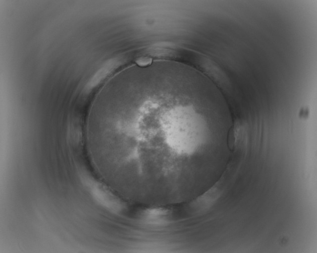 X0000114170158200910151645