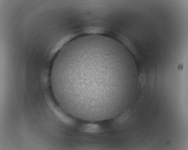 X0000114170159200910151645