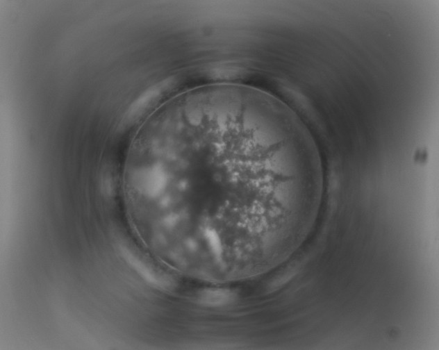 X0000114170161200910151645