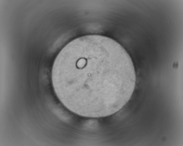 X0000114170162200910151645