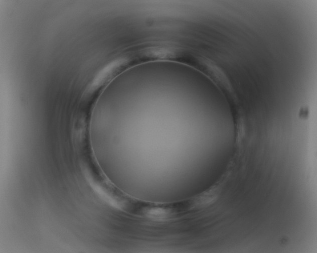 X0000114170163200910151645