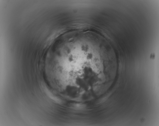 X0000114170165200910151645