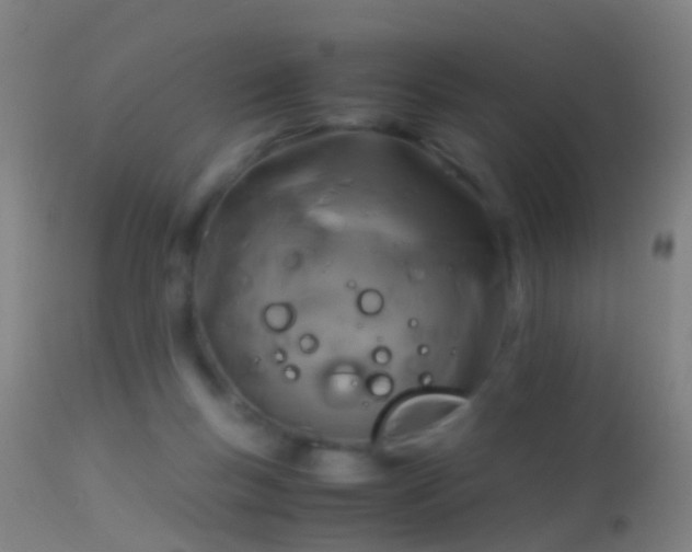 X0000114170167200910151645