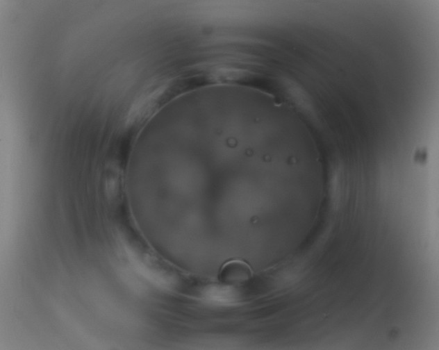 X0000114170169200910151645