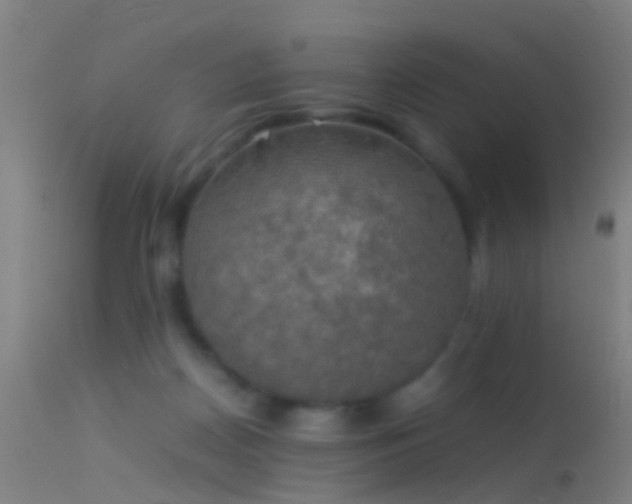 X0000114170170200910151645