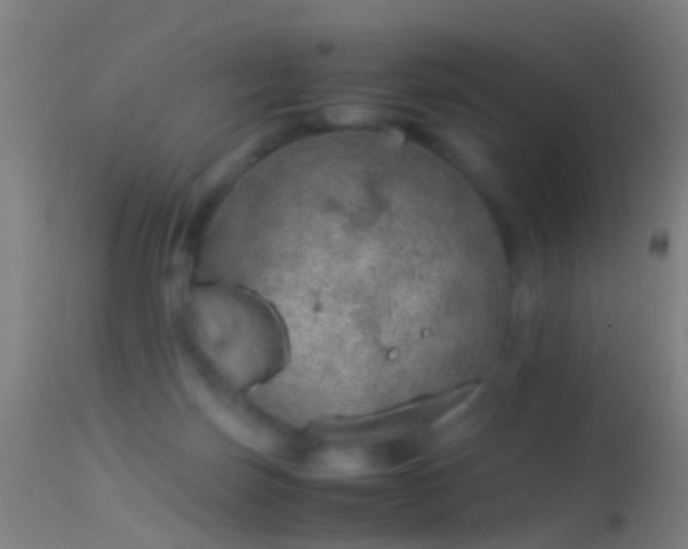 X0000114170171200910151645