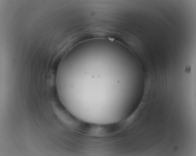 X0000114170174200910151645