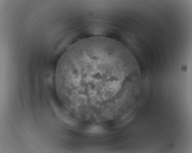 X0000114170175200910151645