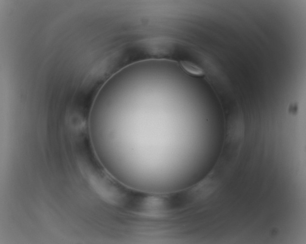 X0000114170176200910151645