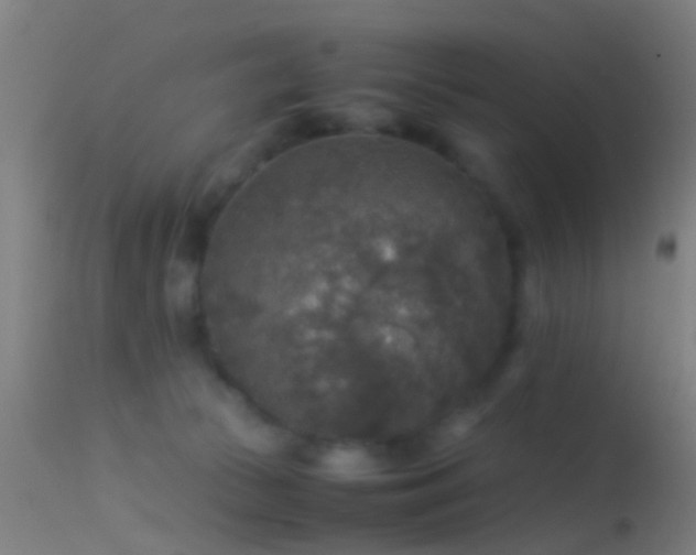 X0000114170177200910151645