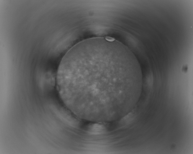 X0000114170180200910151645