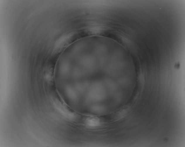 X0000114170181200910151645