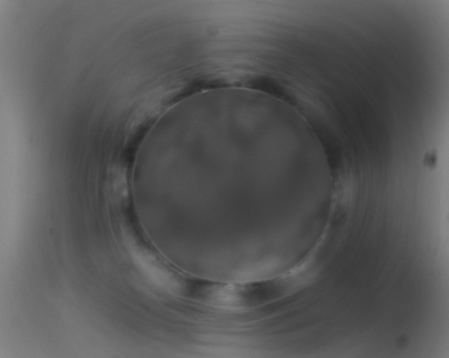 X0000114170182200910151645