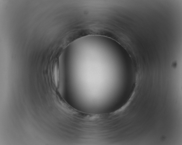 X0000114170186200910151645