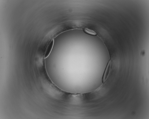 X0000114170188200910151645