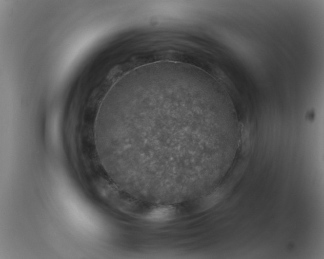 X0000114170189200910151645