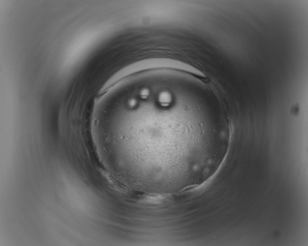 X0000114170190200910151645