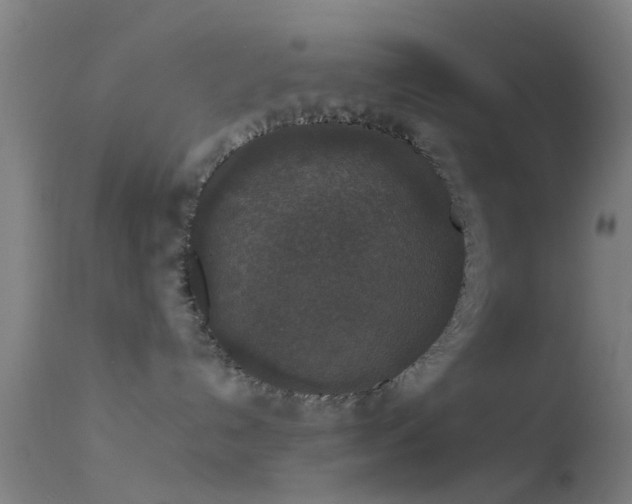 X0000114170192200910151645