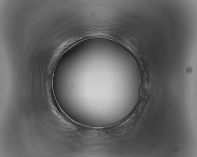 X0000114170193200910151645