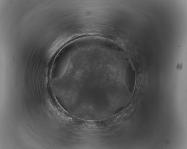 X0000114170194200910151645