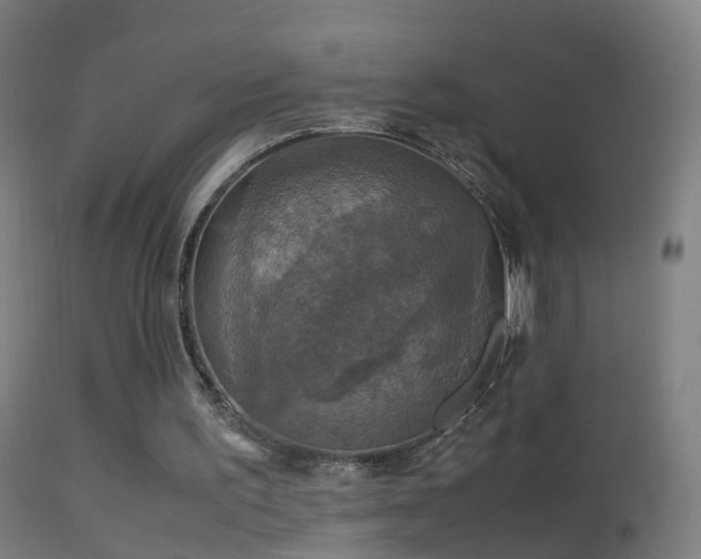 X0000114170195200910151645