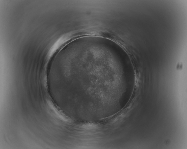 X0000114170198200910151645