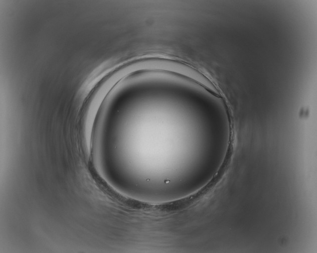 X0000114170199200910151645