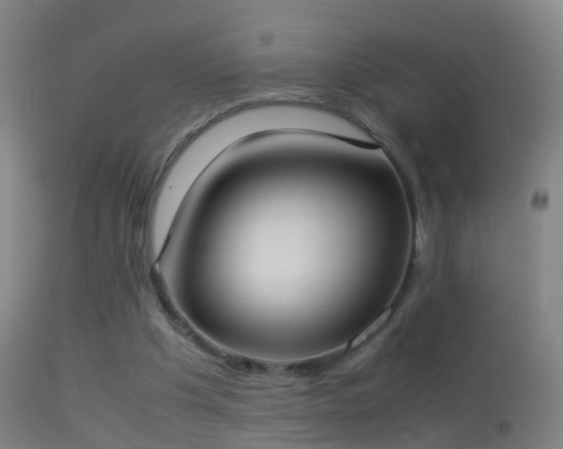 X0000114170201200910151645