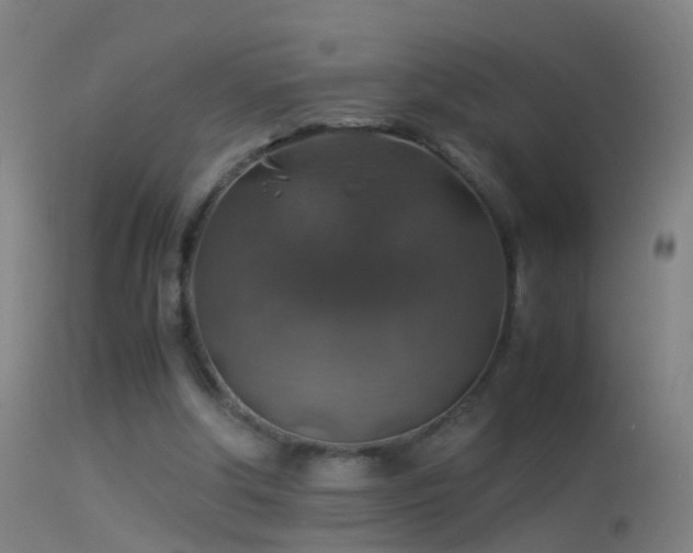 X0000114170202200910151645