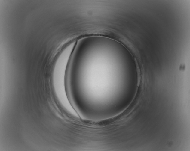 X0000114170203200910151644