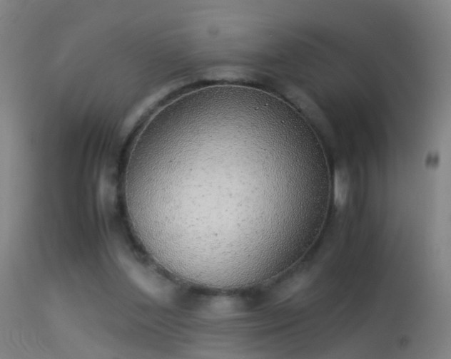 X0000114170204200910151644