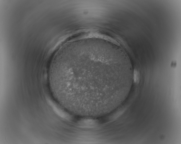 X0000114170205200910151644