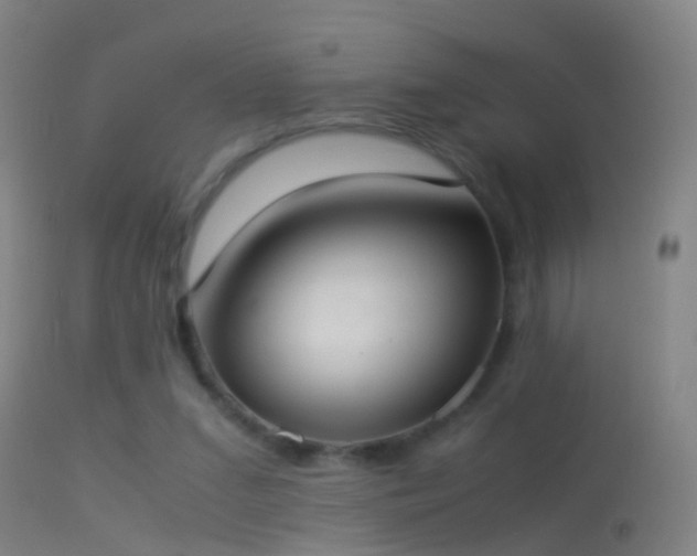 X0000114170207200910151644