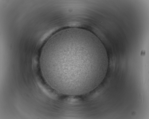 X0000114170208200910151644