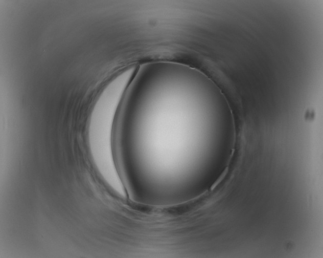 X0000114170209200910151644