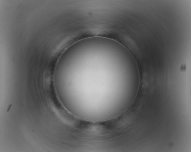 X0000114170210200910151644