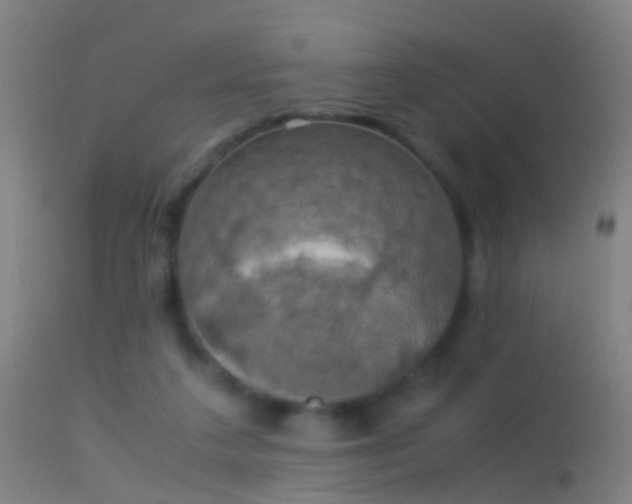 X0000114170211200910151644