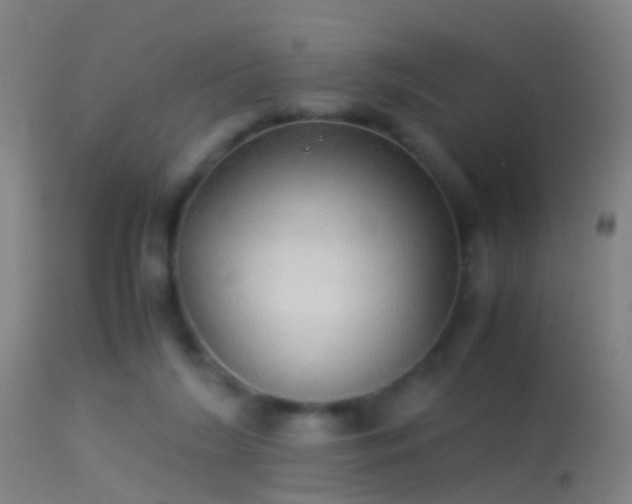 X0000114170212200910151644