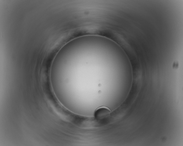 X0000114170213200910151644