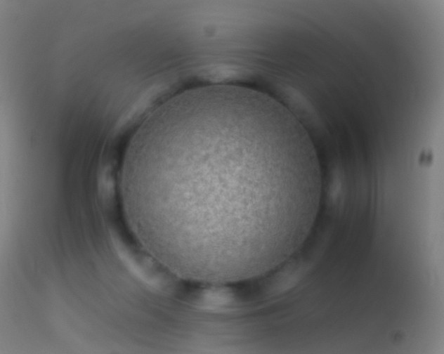 X0000114170214200910151644