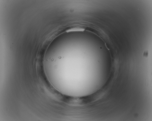 X0000114170217200910151644