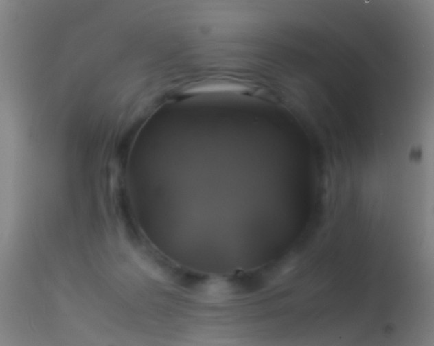 X0000114170219200910151644