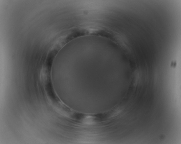 X0000114170222200910151644