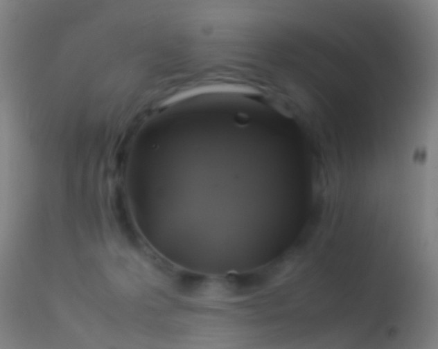 X0000114170223200910151644